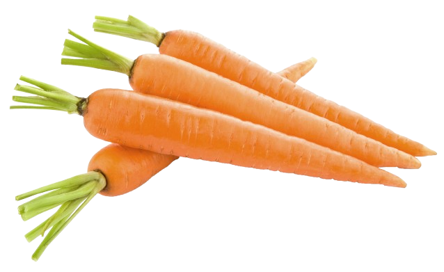 A bunch of field-fresh chantenay carrots