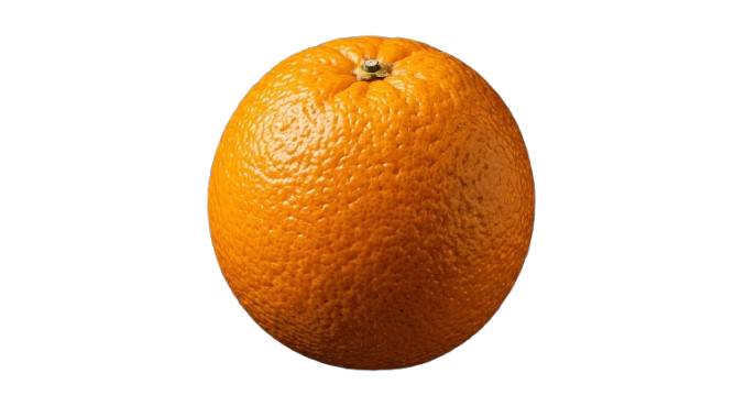 Navel Orange